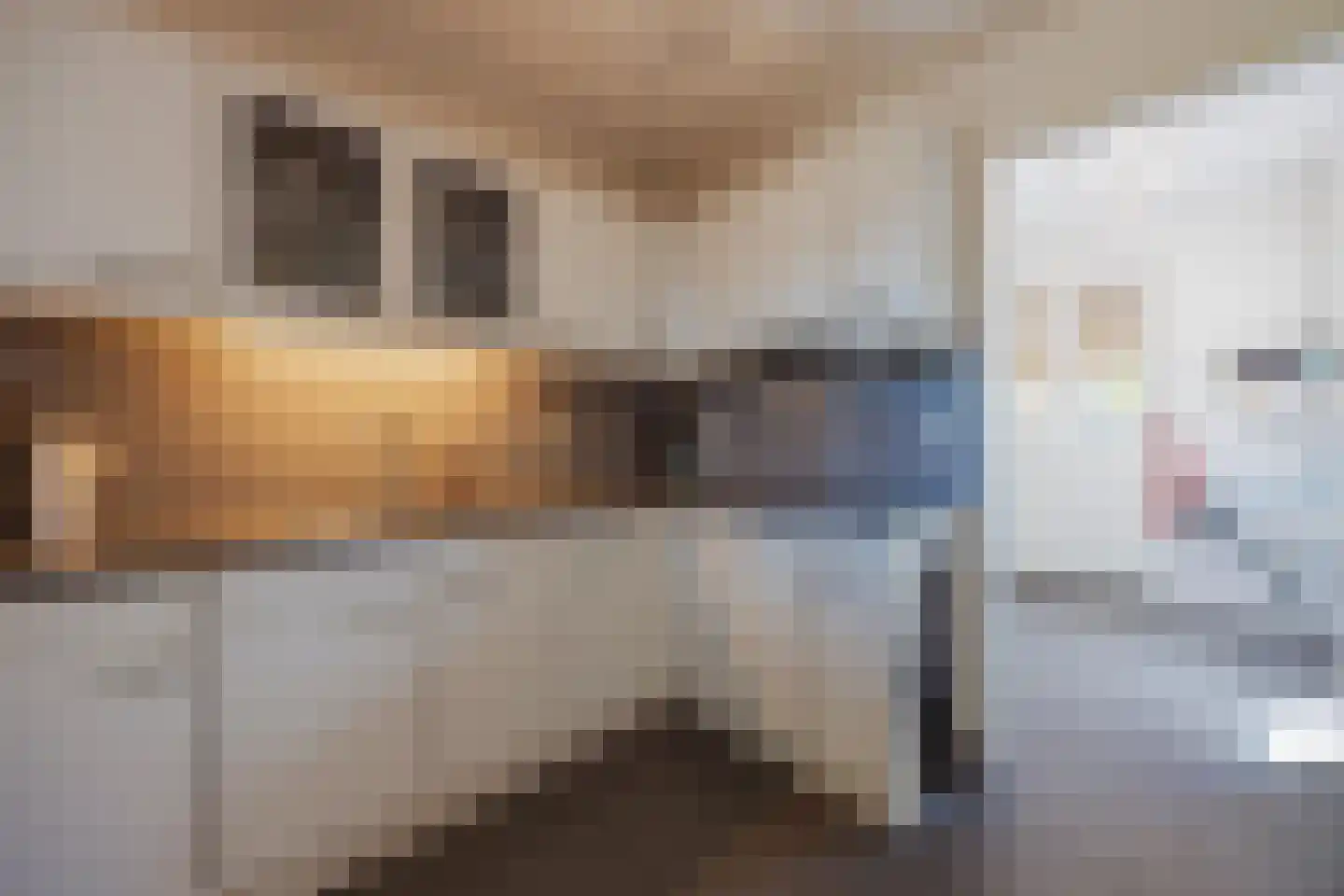 Daniëlweg 11 Melderslo thumbnail 18