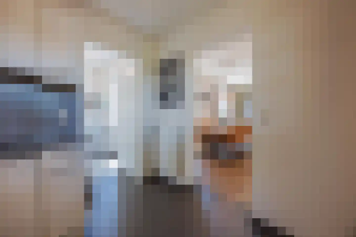 Daniëlweg 11 Melderslo thumbnail 19