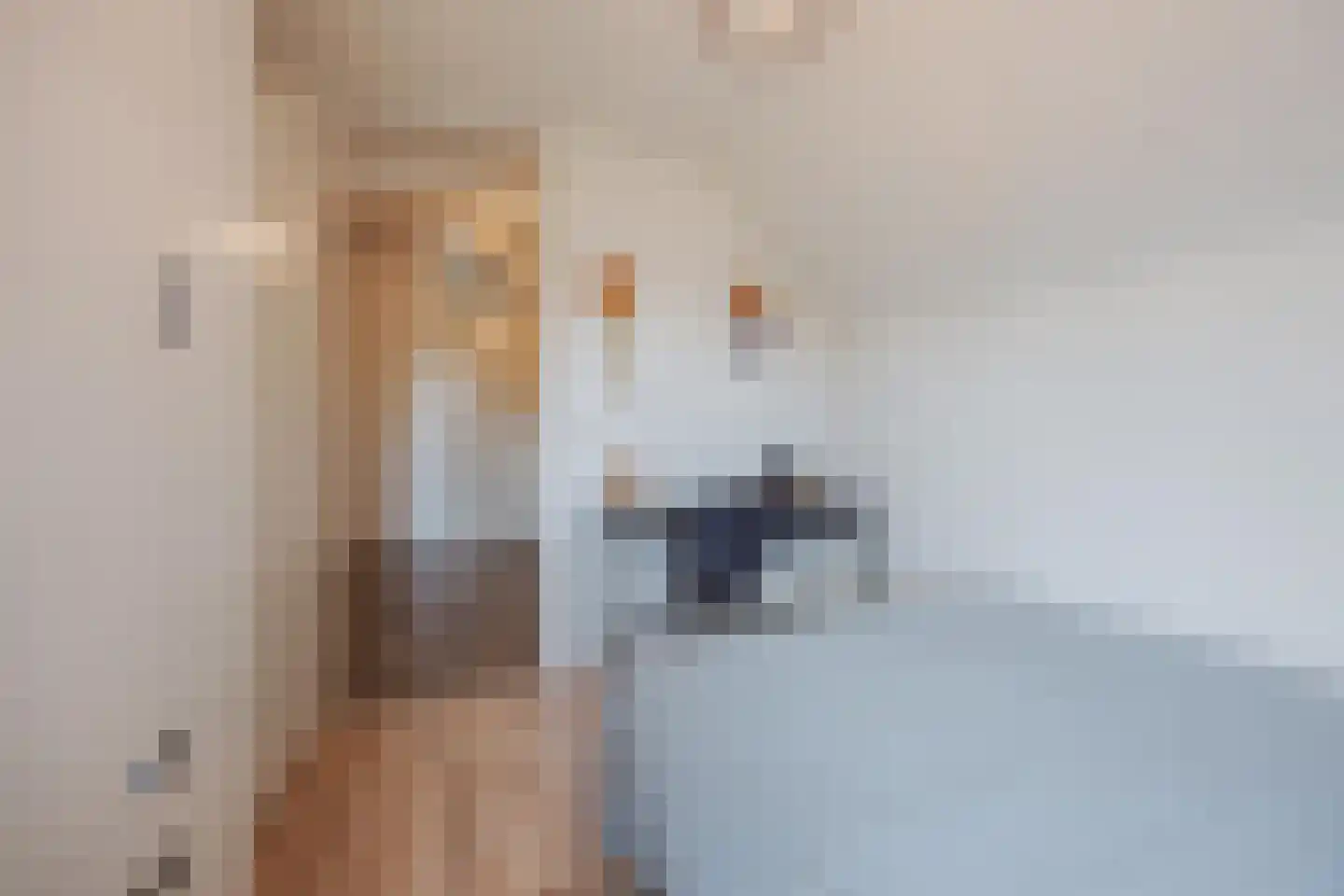 Daniëlweg 11 Melderslo thumbnail 28