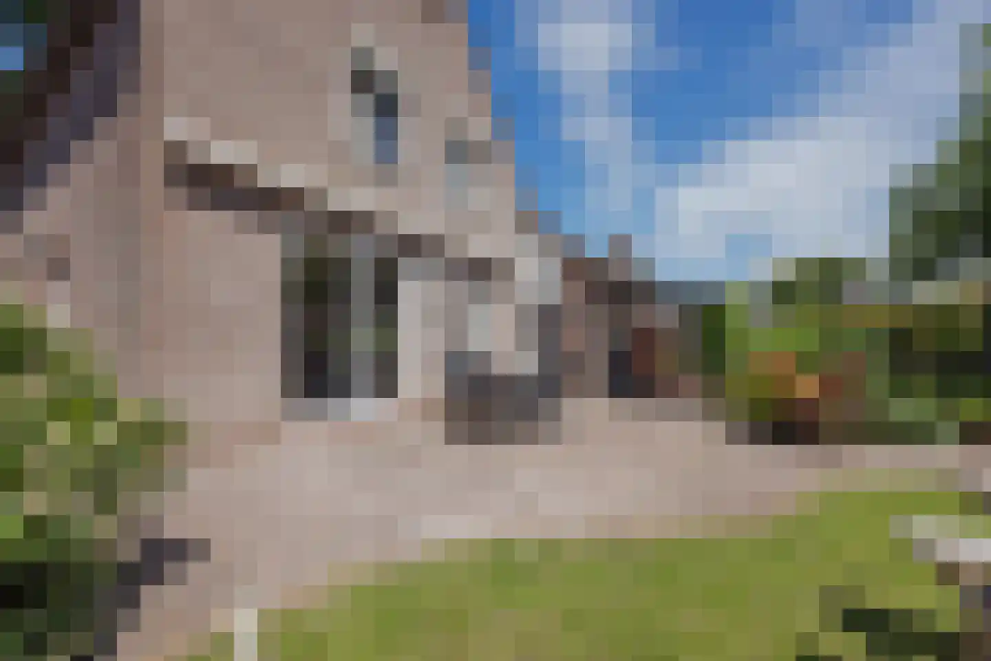 Daniëlweg 11 Melderslo thumbnail 33