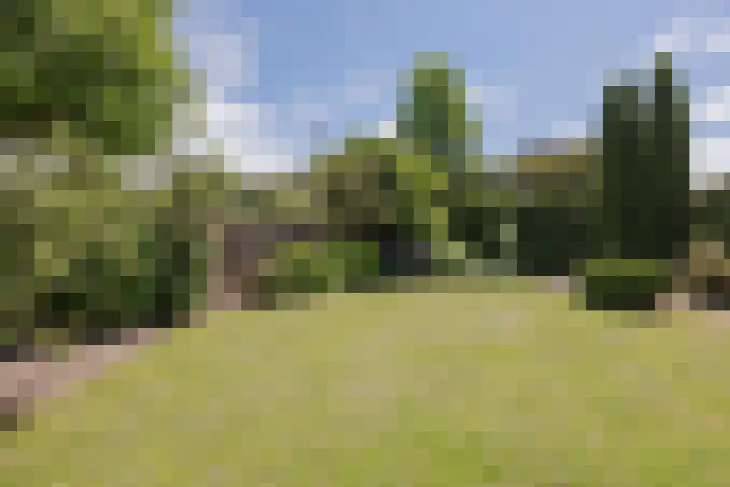 Daniëlweg 11 Melderslo thumbnail 36
