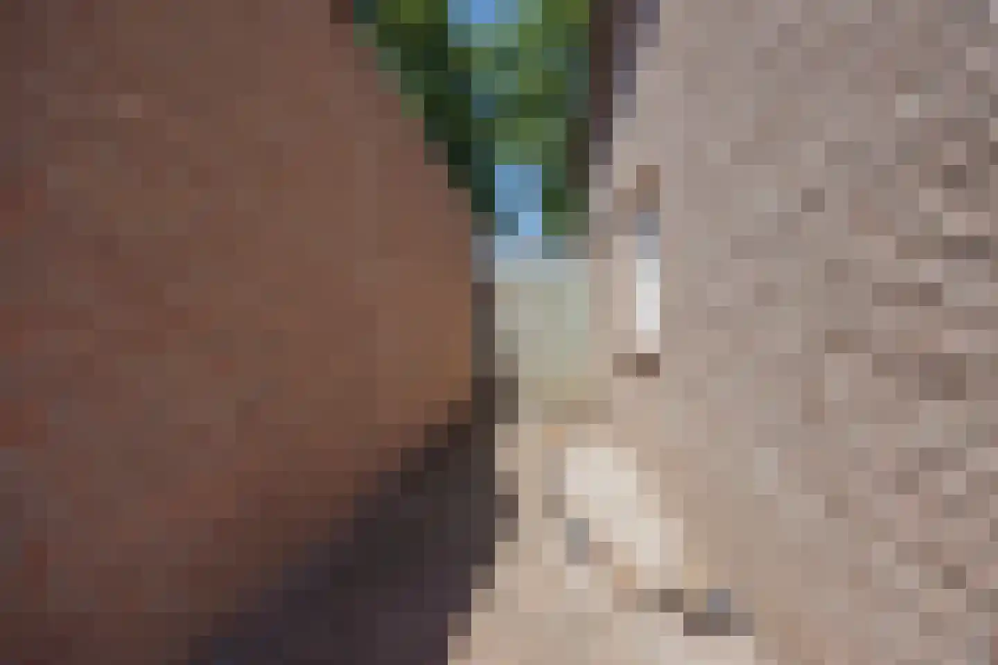Daniëlweg 11 Melderslo thumbnail 39