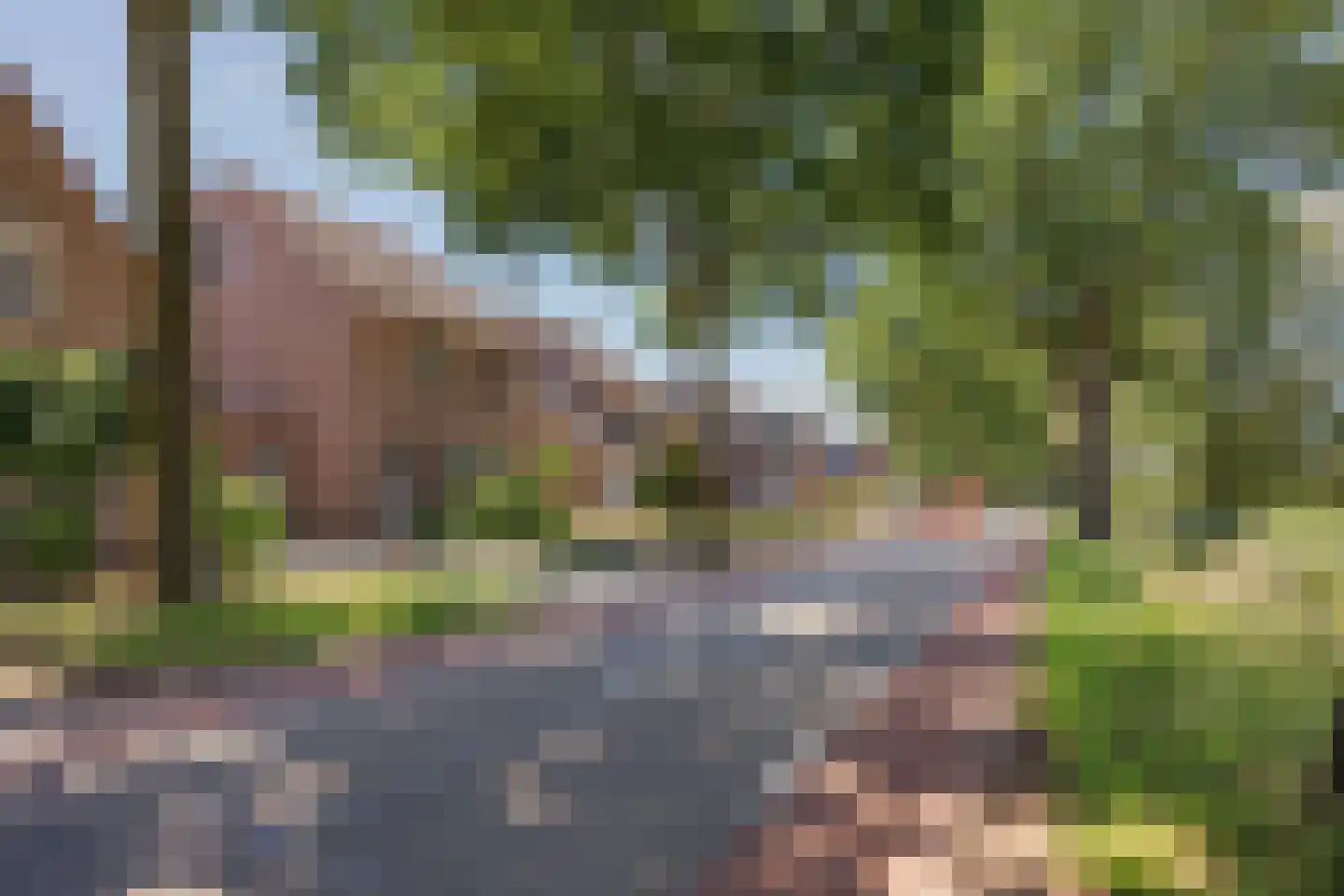 Daniëlweg 11 Melderslo thumbnail 41