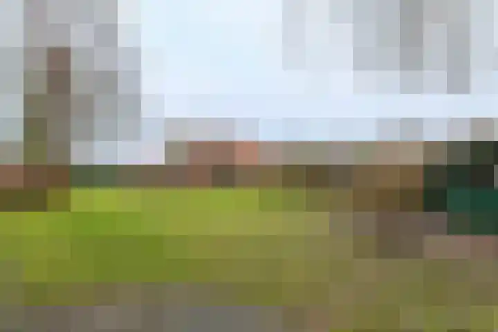 Daniken 5 Sweikhuizen thumbnail 16