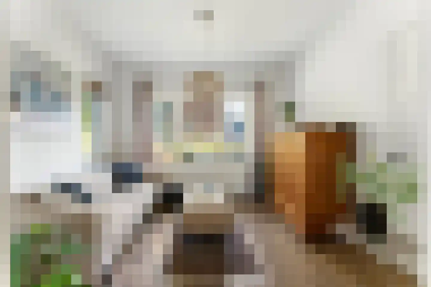 Danikerstraat 33 Geleen thumbnail 10