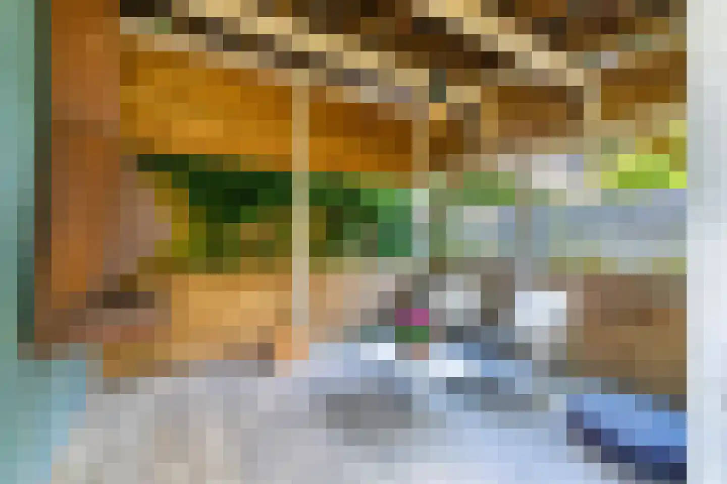 Danikerstraat 33 Geleen thumbnail 18