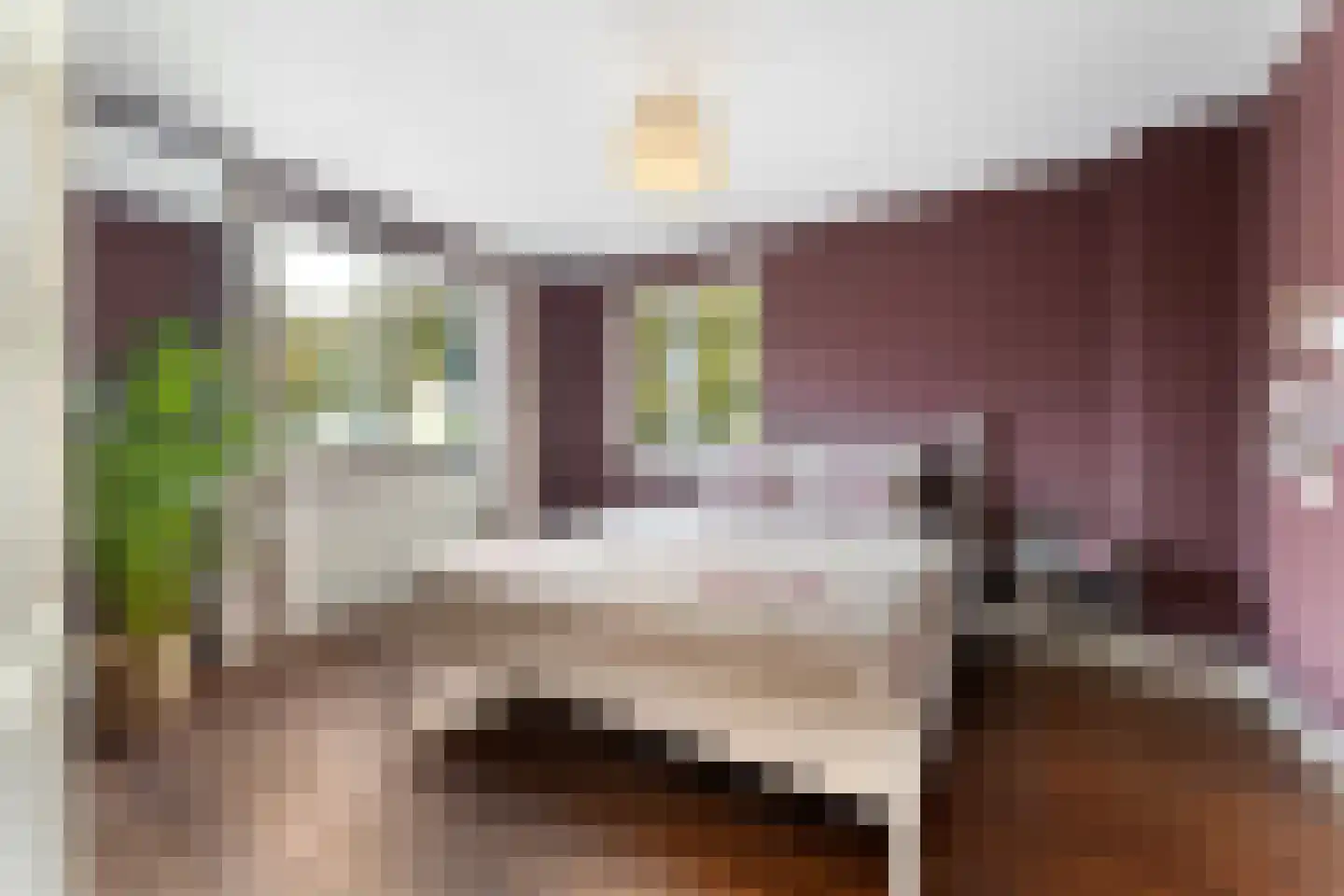 Danikerstraat 33 Geleen thumbnail 20