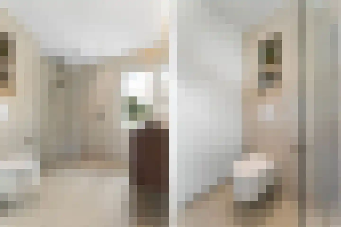 Danikerstraat 33 Geleen thumbnail 22