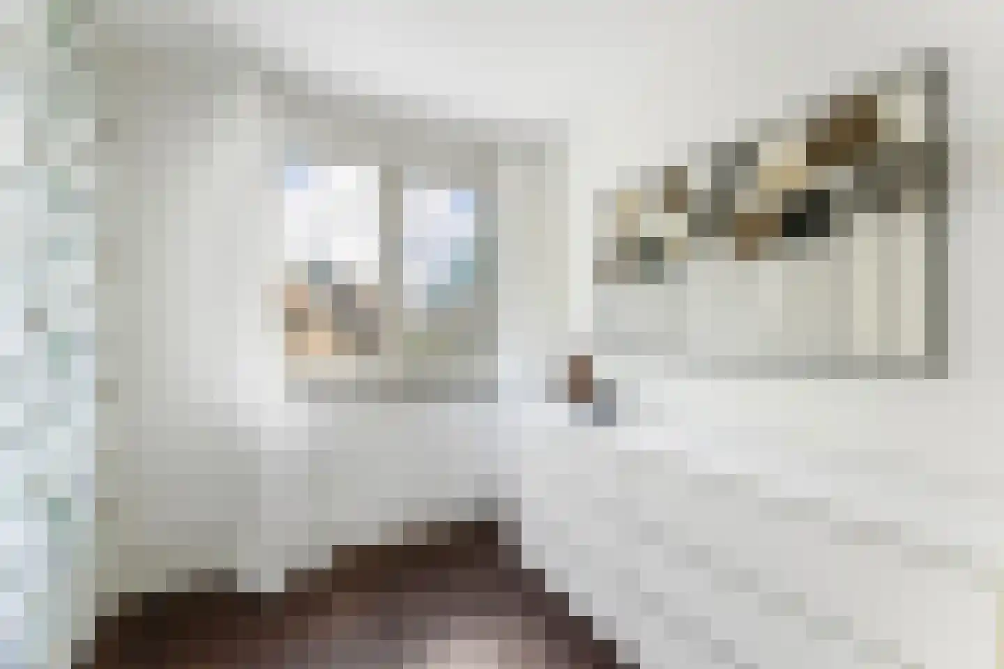 Danikerstraat 33 Geleen thumbnail 27