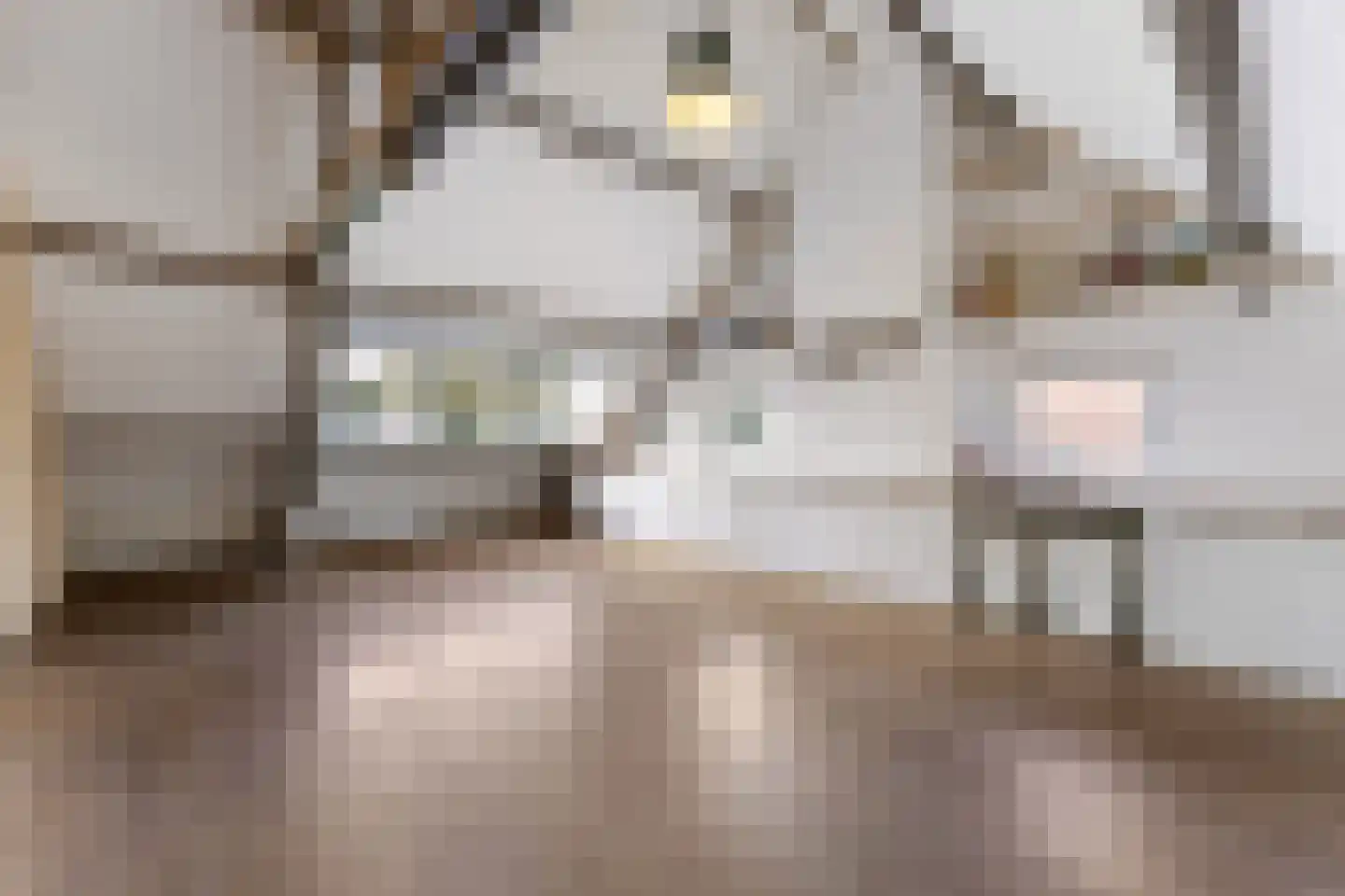 Danikerstraat 33 Geleen thumbnail 28