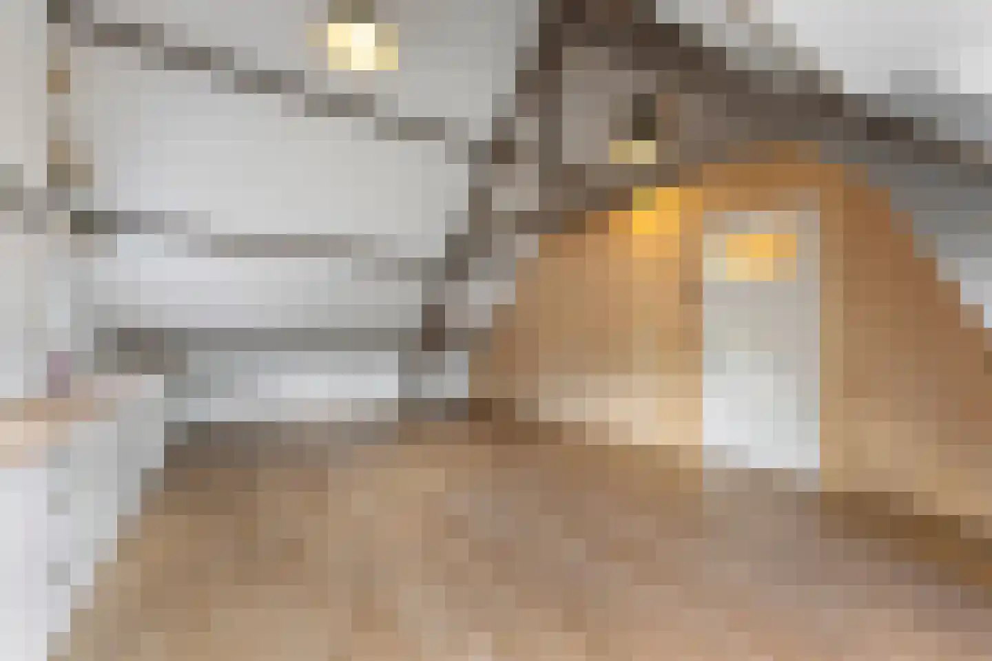 Danikerstraat 33 Geleen thumbnail 29