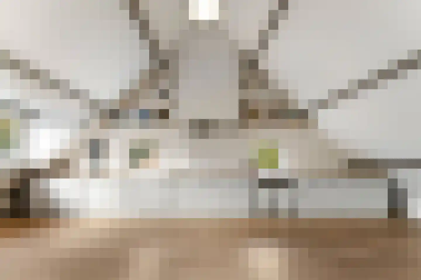 Danikerstraat 33 Geleen thumbnail 30