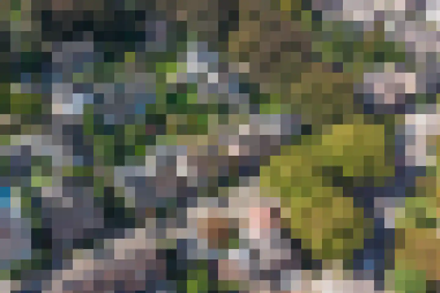 Danikerstraat 33 Geleen thumbnail 33