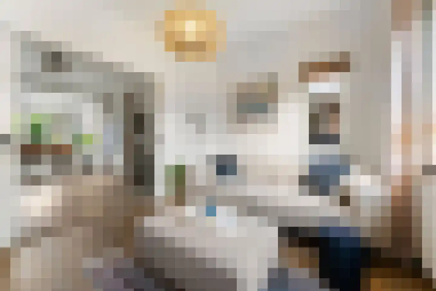 Danikerstraat 33 Geleen thumbnail 8