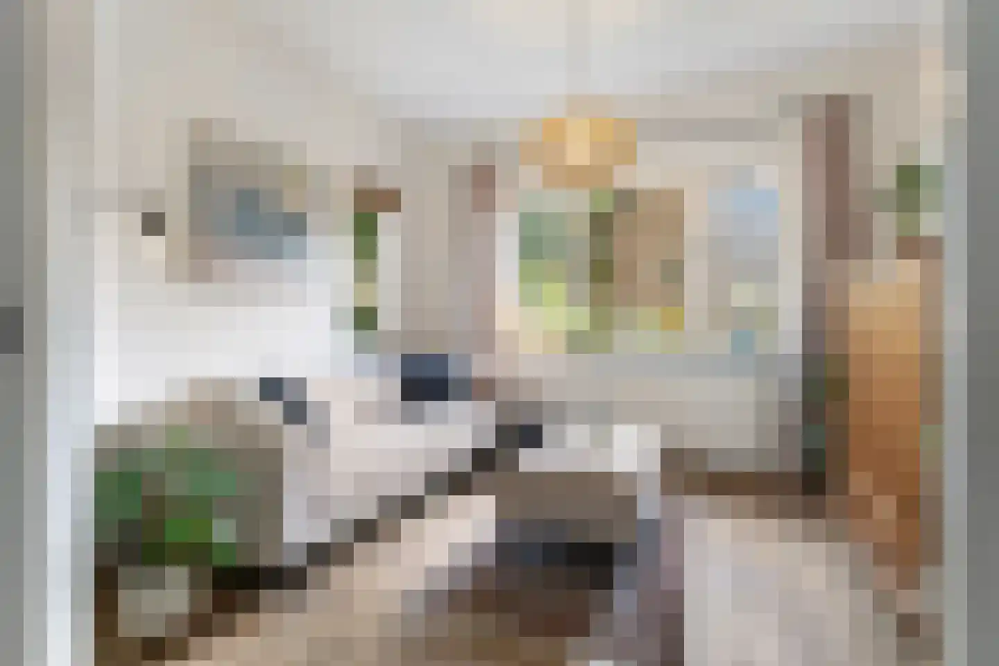 Danikerstraat 33 Geleen thumbnail 9