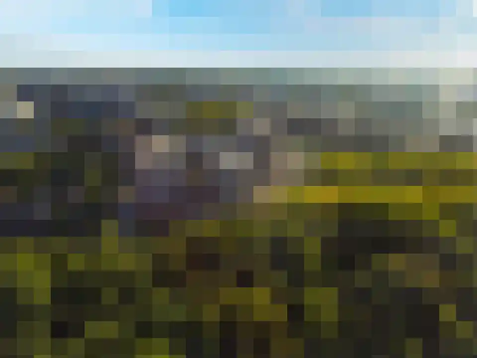 Dankmeijerpad 109 Leiden thumbnail 10
