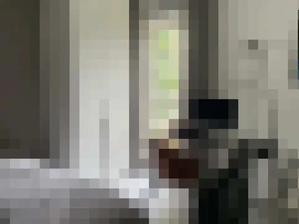 Dankmeijerpad 139 Leiden thumbnail 10