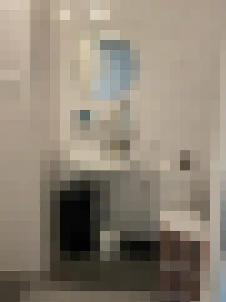 Dankmeijerpad 139 Leiden thumbnail 14