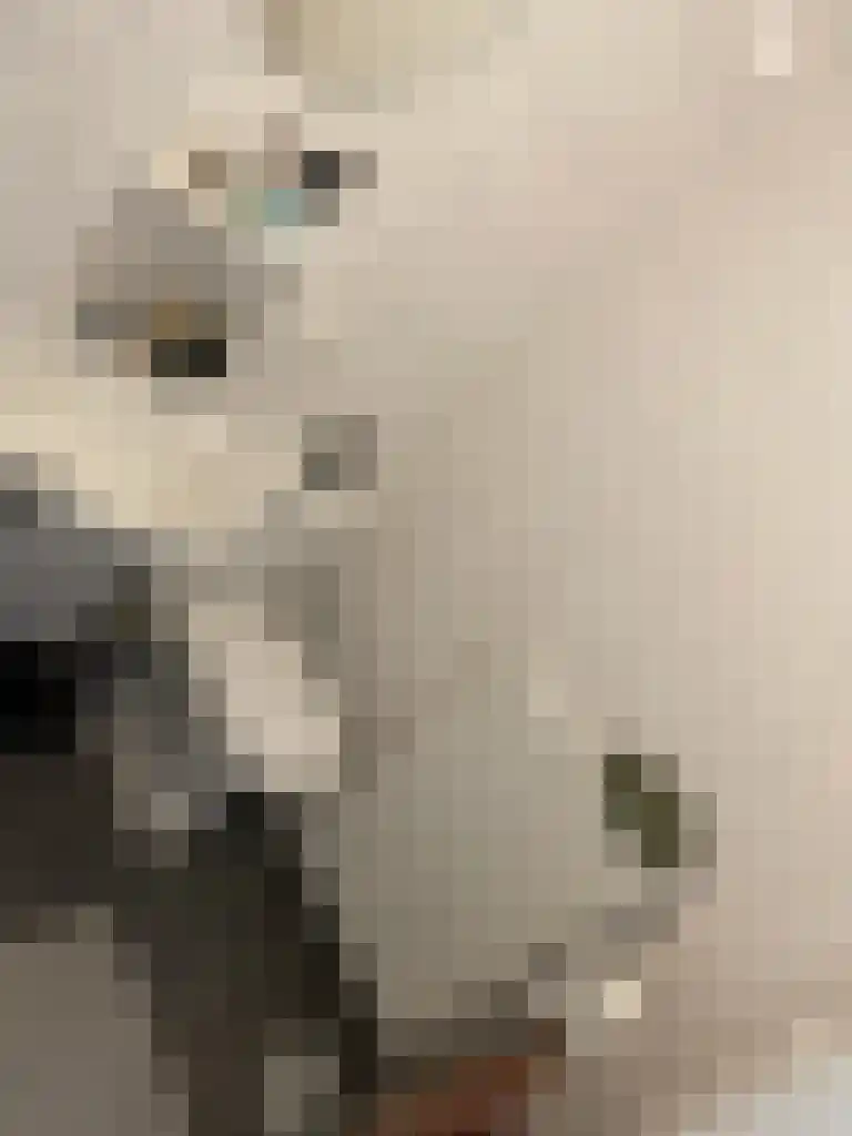 Dankmeijerpad 139 Leiden thumbnail 16