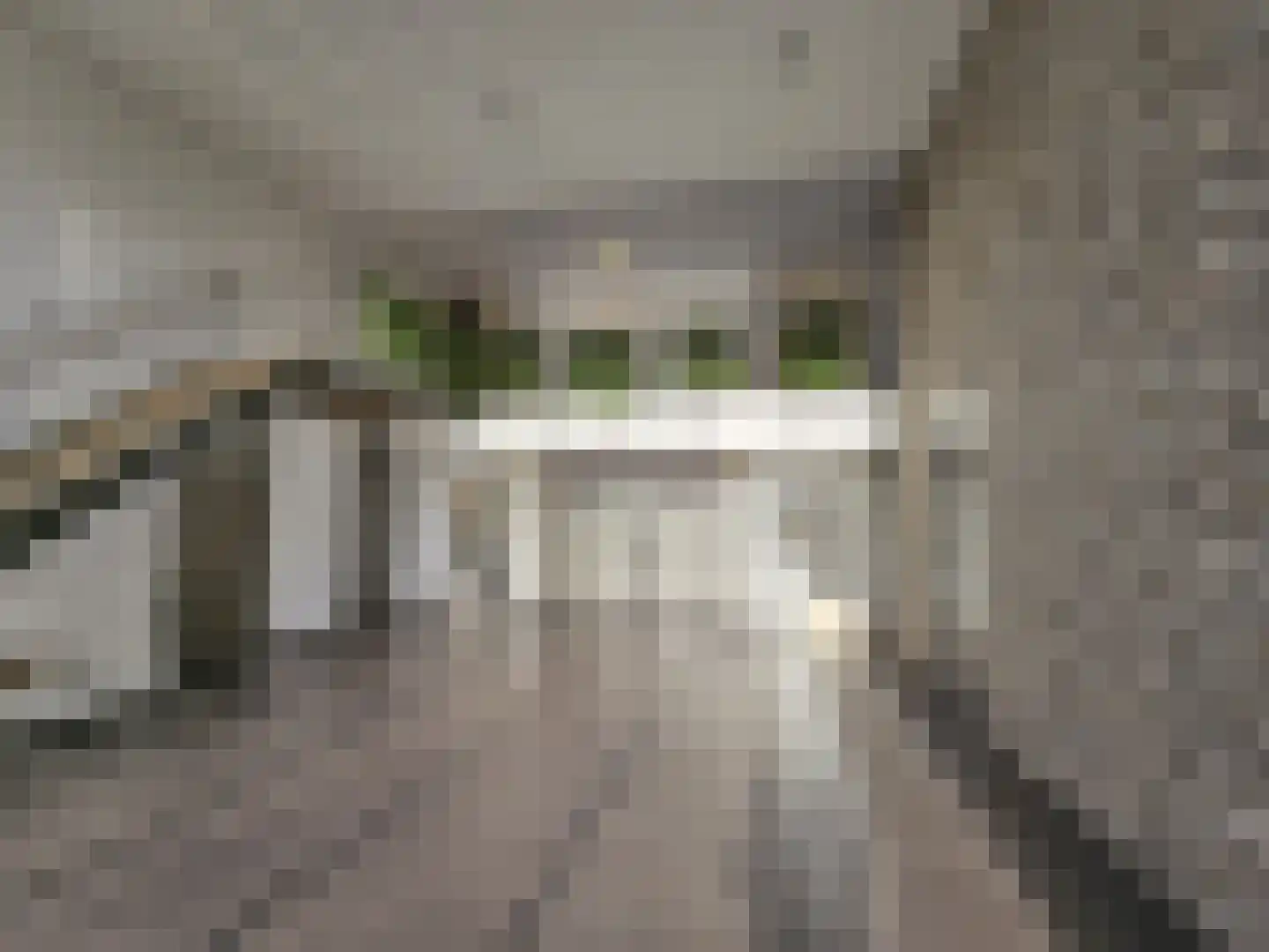 Dankmeijerpad 139 Leiden thumbnail 22