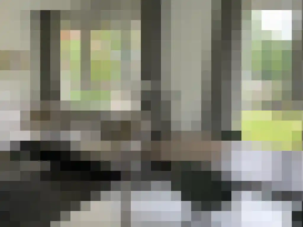 Dankmeijerpad 139 Leiden thumbnail 5