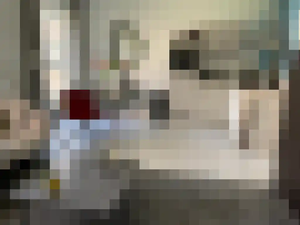 Dankmeijerpad 139 Leiden thumbnail 6