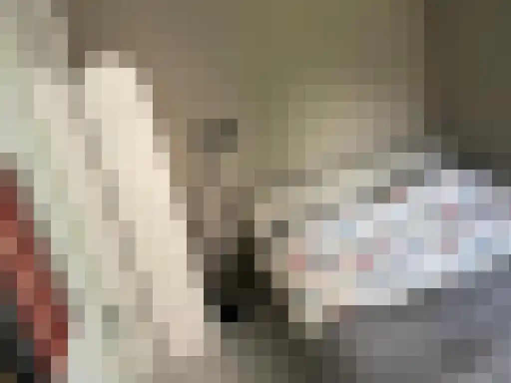 Dankmeijerpad 139 Leiden thumbnail 9