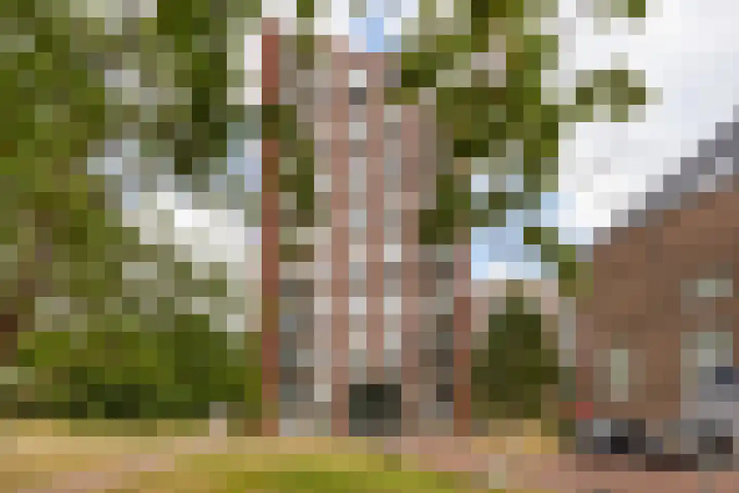 Dankmeijerpad 153 Leiden
