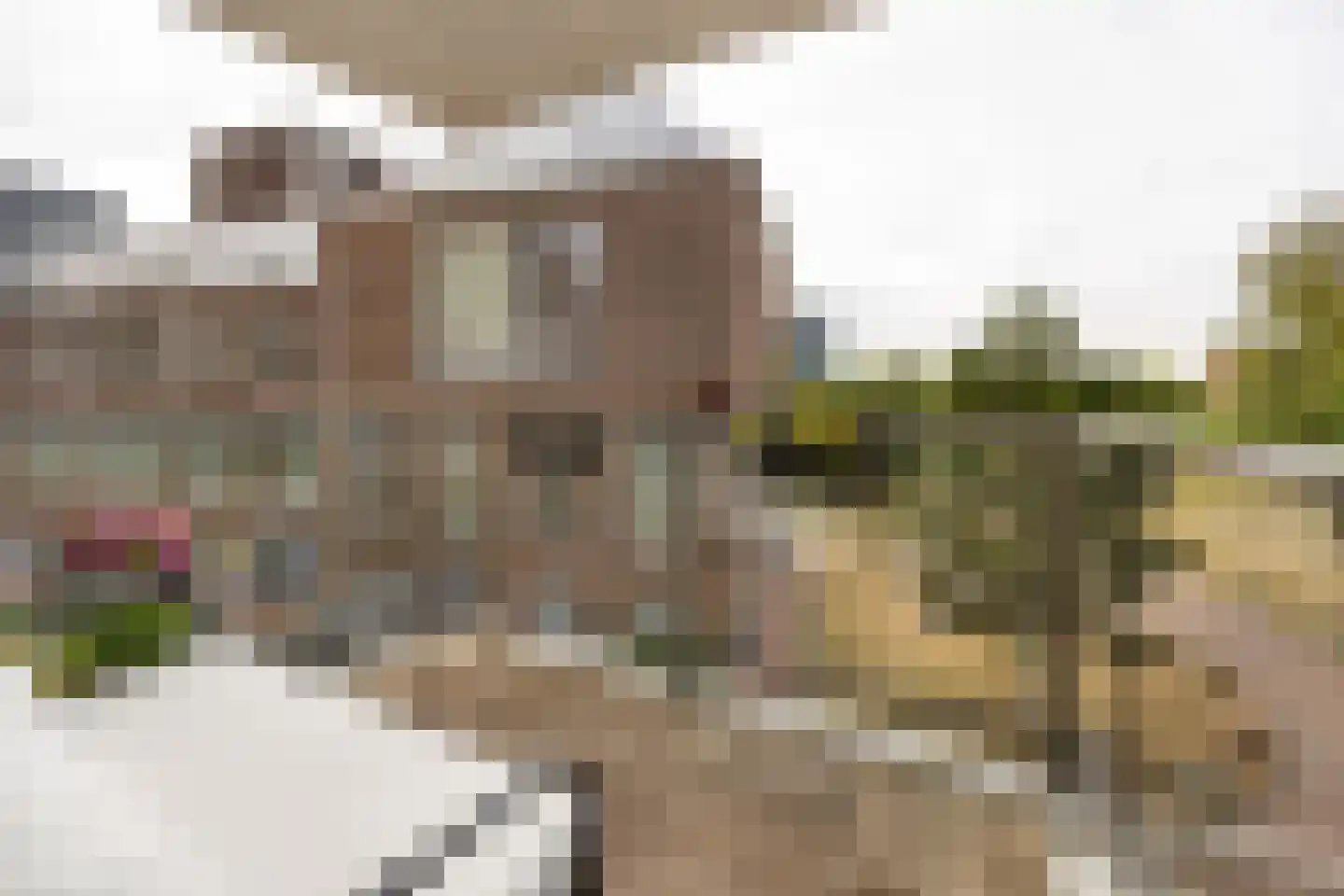 Dankmeijerpad 153 Leiden thumbnail 19