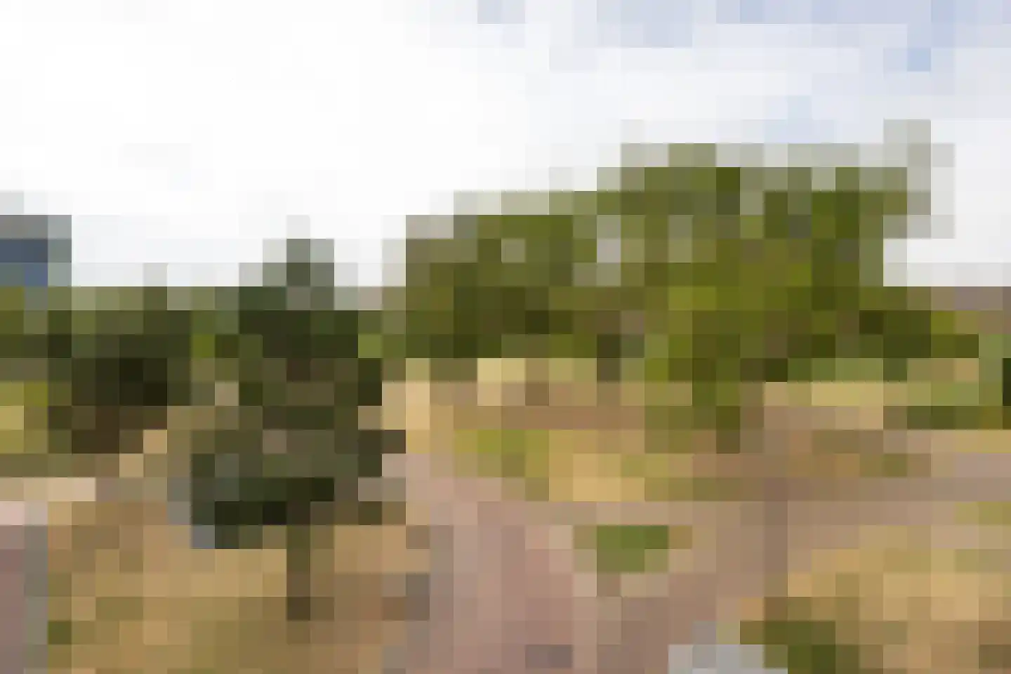 Dankmeijerpad 153 Leiden thumbnail 20