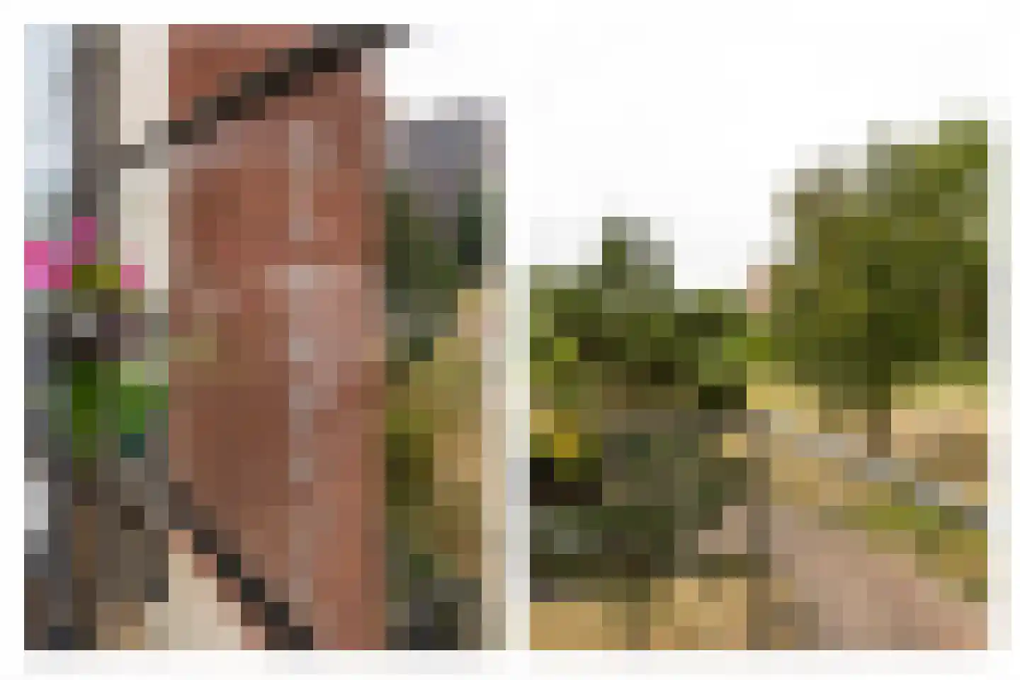 Dankmeijerpad 153 Leiden thumbnail 21