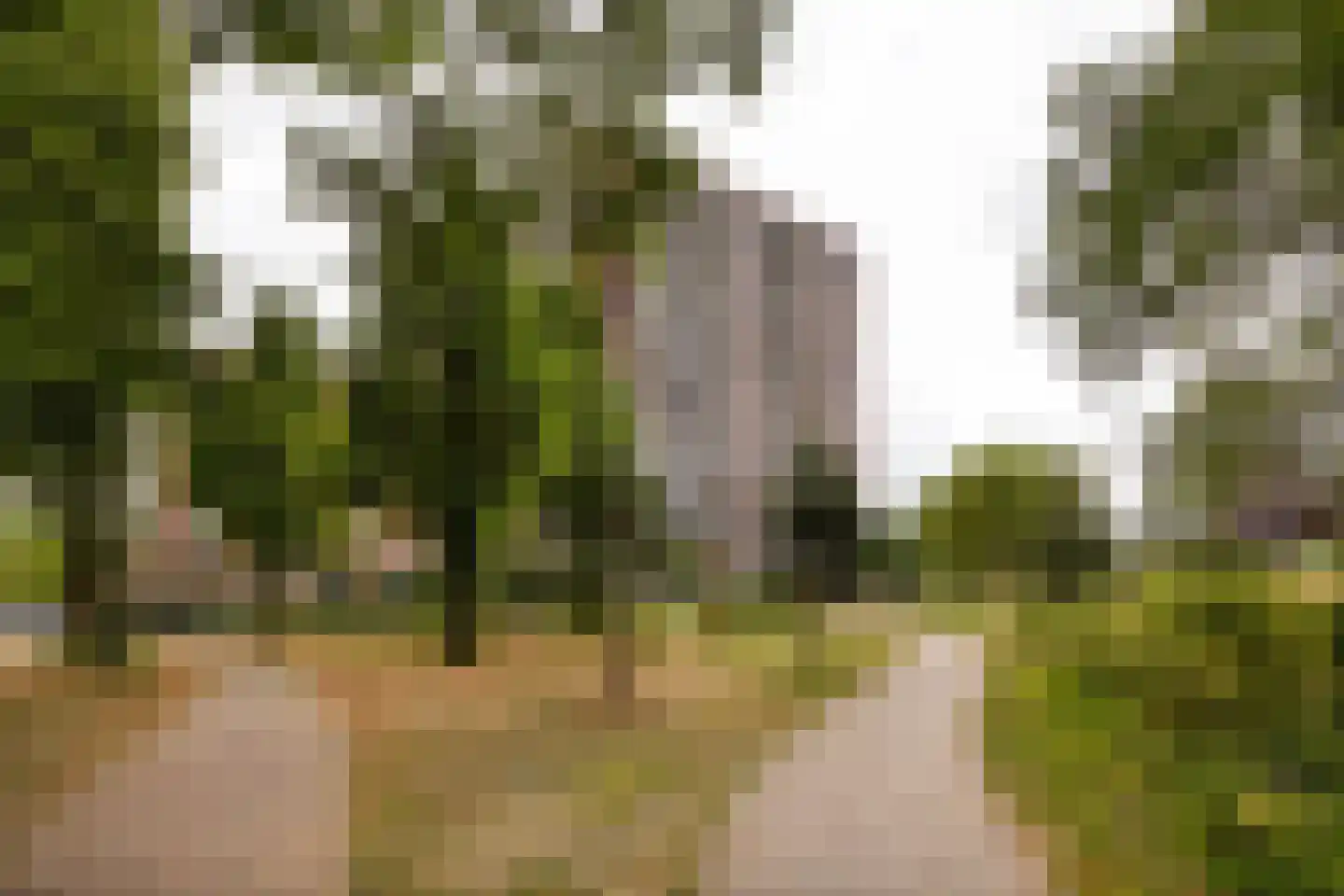 Dankmeijerpad 153 Leiden thumbnail 22