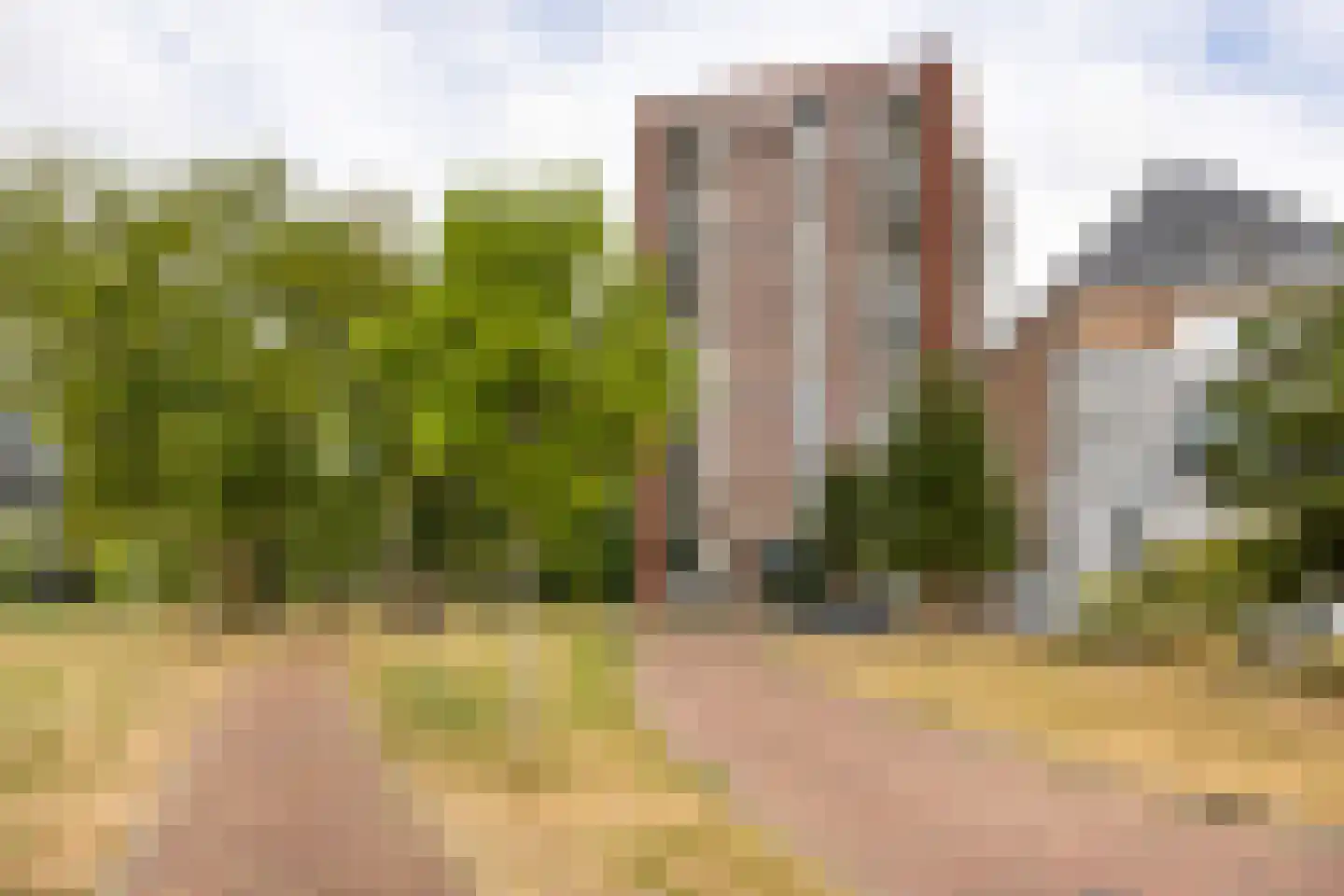 Dankmeijerpad 153 Leiden thumbnail 24
