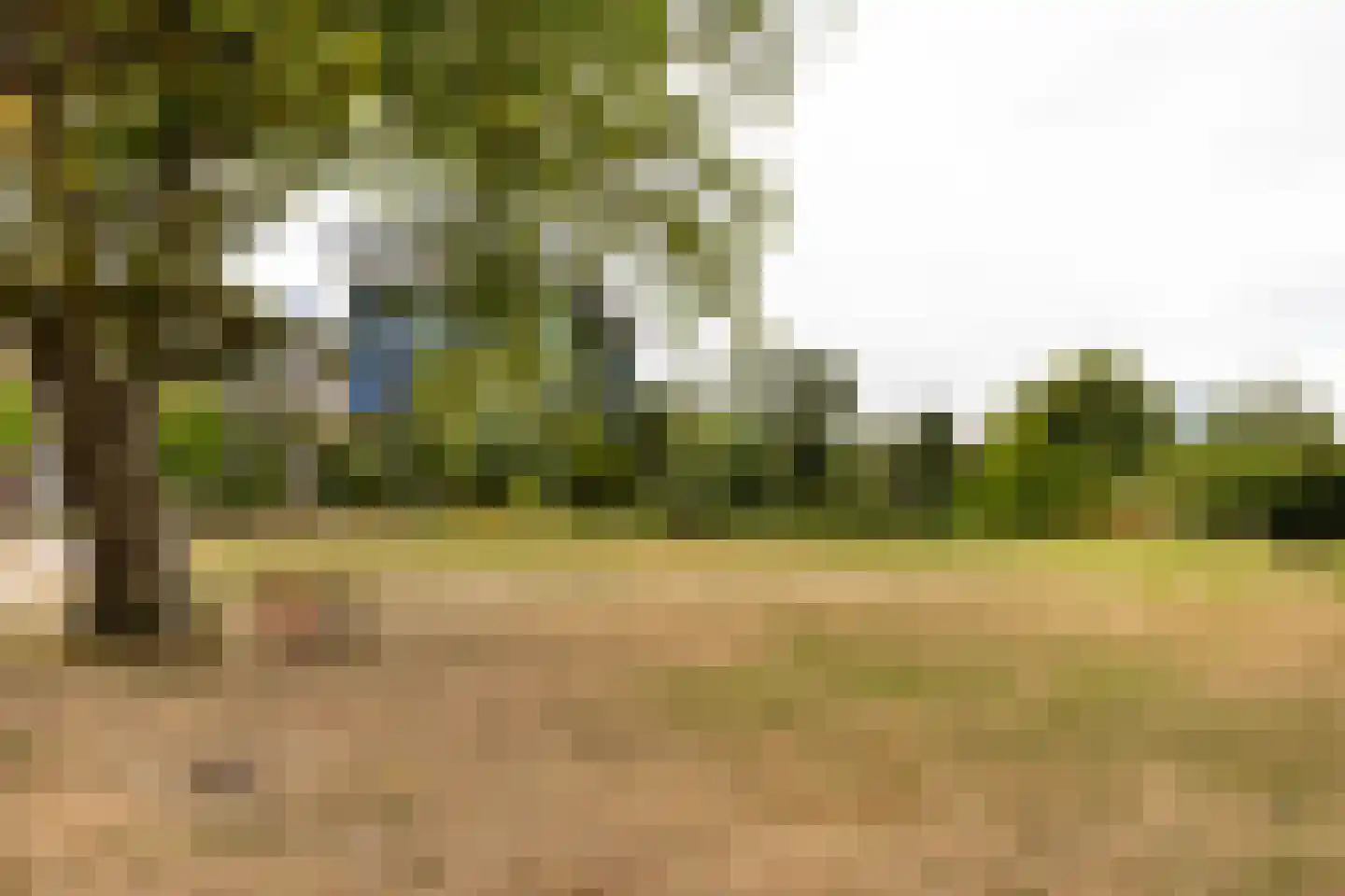 Dankmeijerpad 153 Leiden thumbnail 27