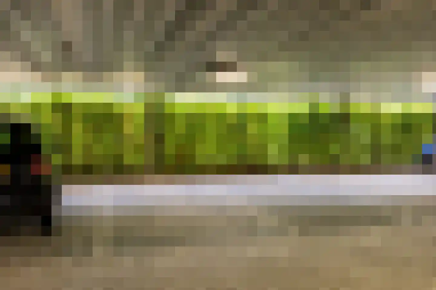 Dankmeijerpad 153 Leiden thumbnail 30