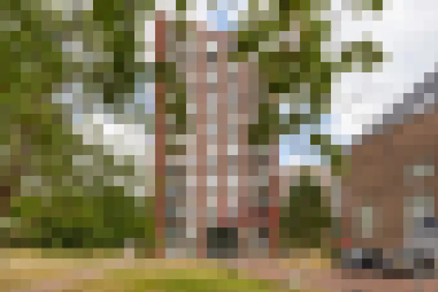 Dankmeijerpad 153 Leiden thumbnail 4