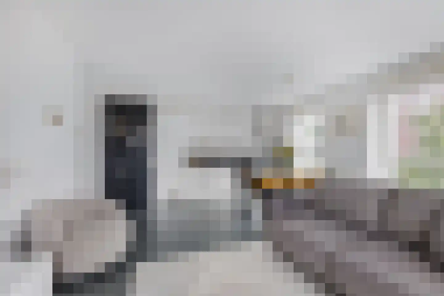 Dankmeijerpad 153 Leiden thumbnail 6