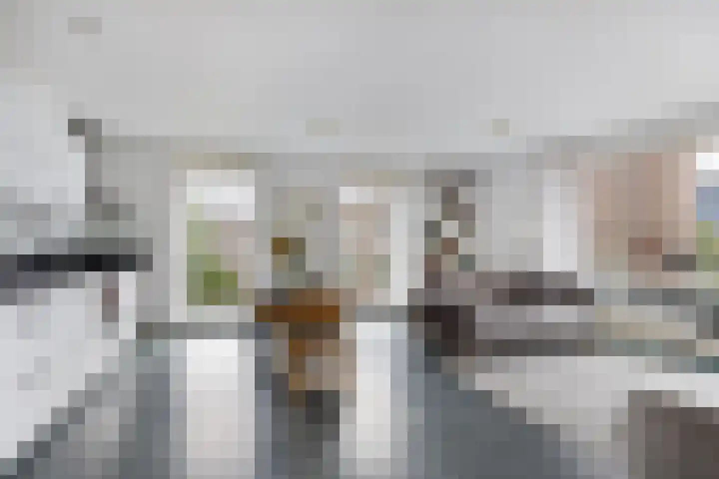 Dankmeijerpad 153 Leiden thumbnail 7