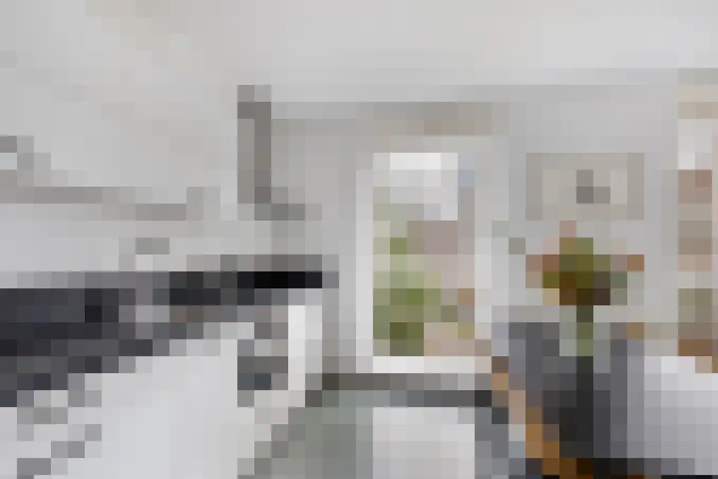 Dankmeijerpad 153 Leiden thumbnail 8