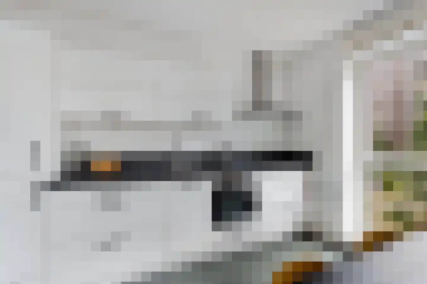 Dankmeijerpad 153 Leiden thumbnail 9