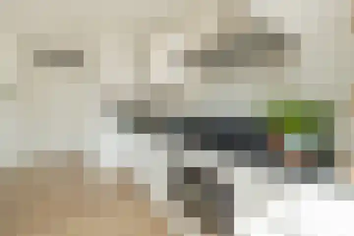 Dankmeijerpad 169 Leiden thumbnail 11