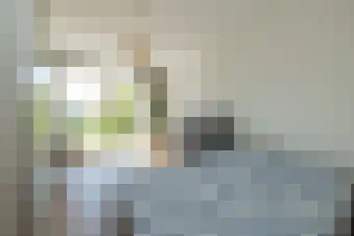 Dankmeijerpad 169 Leiden thumbnail 13
