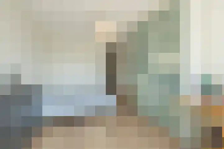 Dankmeijerpad 169 Leiden thumbnail 15