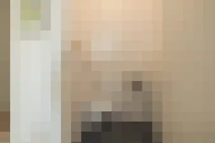 Dankmeijerpad 169 Leiden thumbnail 21