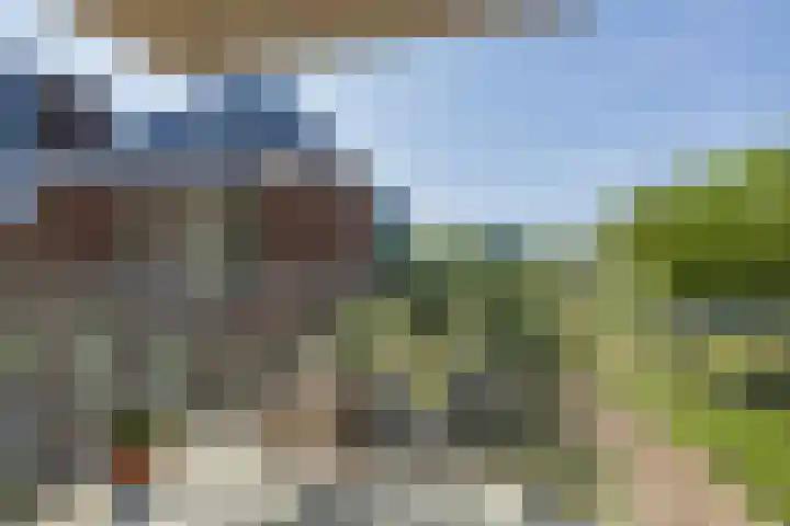 Dankmeijerpad 169 Leiden thumbnail 22