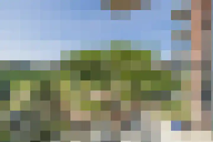 Dankmeijerpad 169 Leiden thumbnail 23