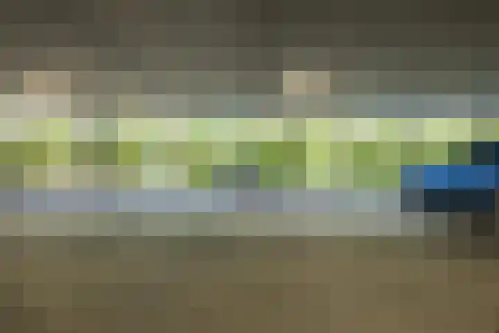 Dankmeijerpad 169 Leiden thumbnail 24