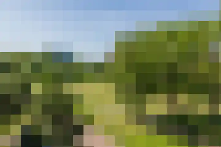 Dankmeijerpad 169 Leiden thumbnail 25