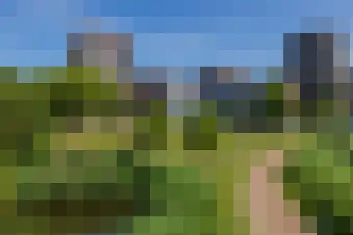 Dankmeijerpad 169 Leiden thumbnail 26