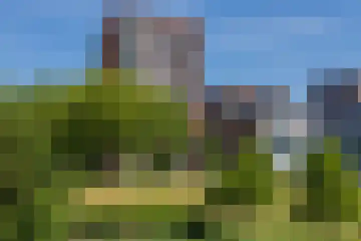 Dankmeijerpad 169 Leiden thumbnail 30